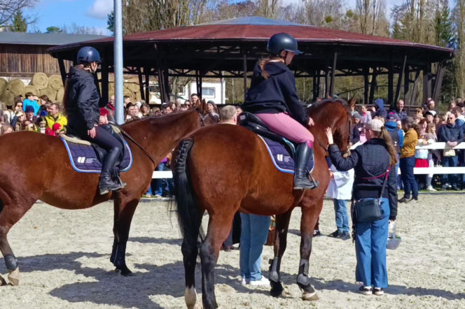 Konna święconka w Szczecinie