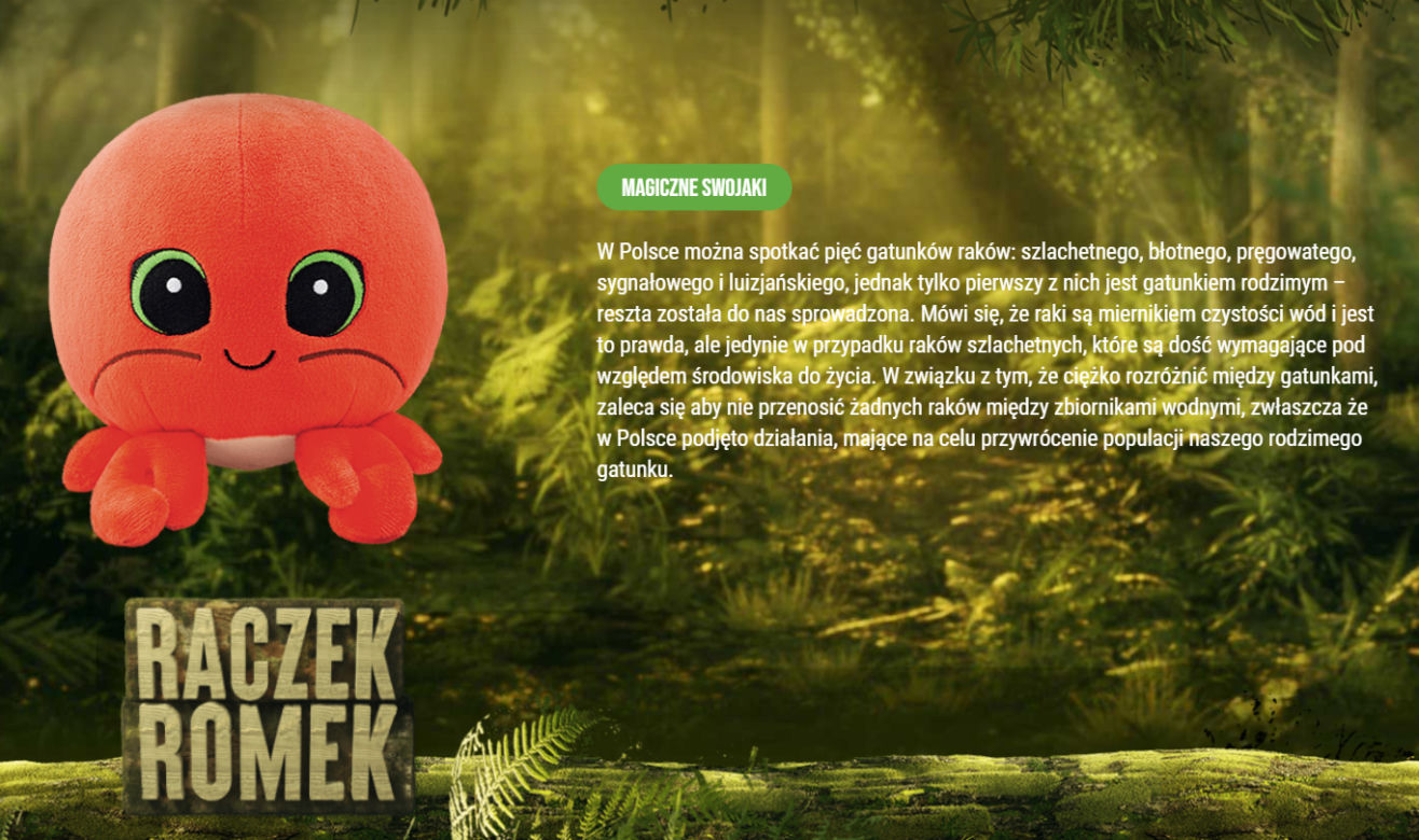 Raczek Romek