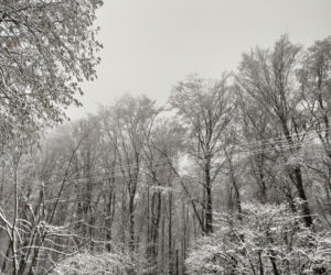 Pierwszy śnieg w regionie tarnowskim