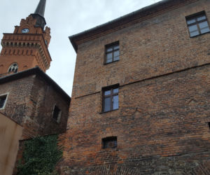 Spacer po najstarszej części Tarnowa