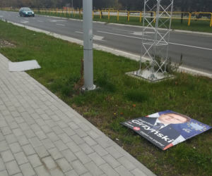 W Toruniu wiszą nielegalne plakaty wyborcze. 31 decyzji karnych!