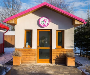 Psy czekają na adopcję w przemyskiej psiej wiosce [ZDJĘCIA]