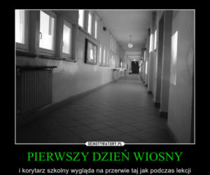 Memy na pierwszy dzień wiosny