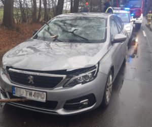 Gałęzie przebiły szybę jadącego auta! Sceny jak z horroru