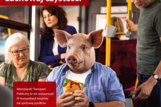 Warszawski ZTM wycofuje plakat ze świnią. Ekspertka grzmi: To utrwalanie stereotypów