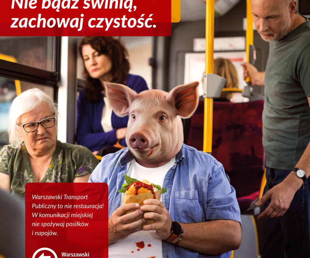 Warszawski ZTM wycofuje plakat ze świnią. Ekspertka grzmi: To utrwalanie stereotypów