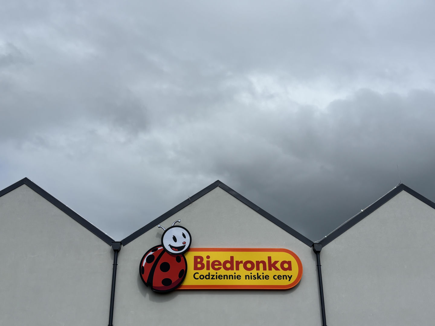 Biedronka w Darłowie