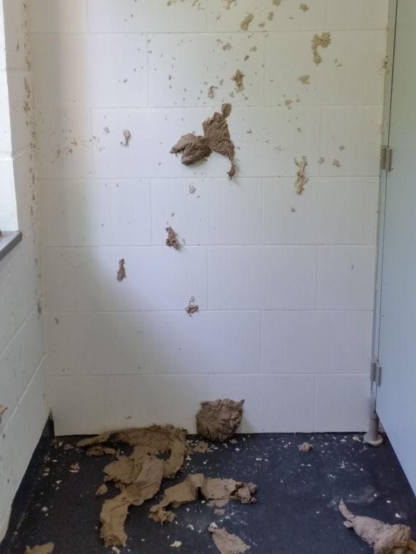 Niszczymy publiczne szalety na potęgę. Torunianie muszą zadowolić się „ToiToiami” [FOTO]