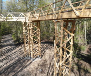 Poznań: Ścieżka w koronach drzew - te zdjęcia robią wrażenie