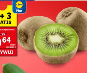 Mega promocje w Lidlu