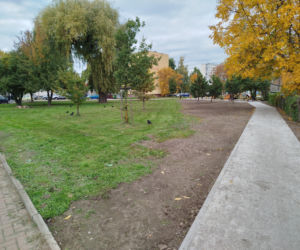 Park kieszonkowy przy ul. Żytniej w Siedlcach