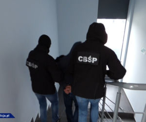 Policja rozbiła gang samochodowy