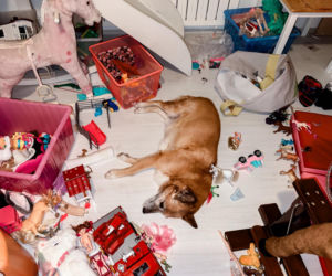 Bakterie, grzyby i roztocza… Ekspertka od porządków zdradza, jak „wykurzyć” je z zabawek malucha