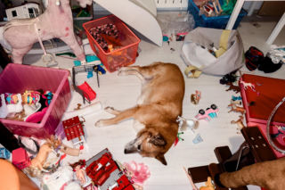 Bakterie, grzyby i roztocza… Ekspertka od porządków zdradza, jak „wykurzyć” je z zabawek malucha