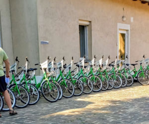 Przetarg na używane rowery Bike_S