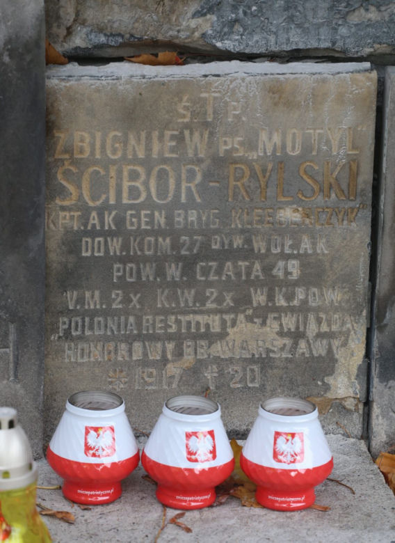 Groby znanych. Ścibor-Rylski, Kłosowski, Wachowicz, Jackowska