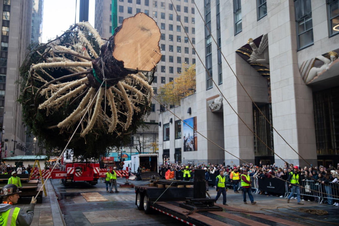 W Nowym Jorku stanęła choinka. Tłumy towarzyszyły jej transportowi