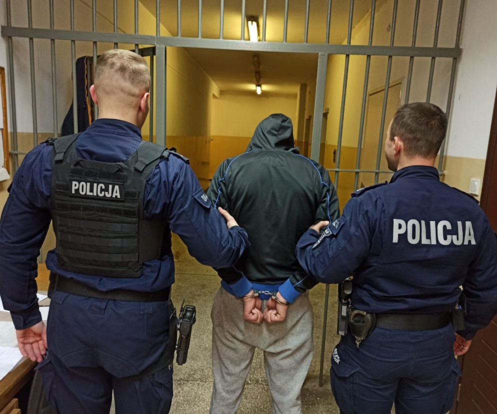 policja
