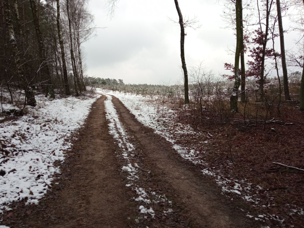 Wieża obserwacyjna na Górze św. Jadwigi