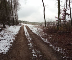 Wieża obserwacyjna na Górze św. Jadwigi