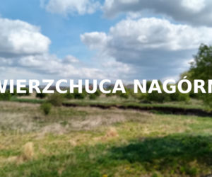 Wierzchuca Nagórna