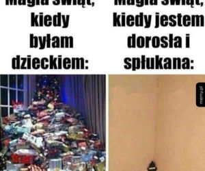 MEMY na święta Bożego Narodzenia 2024. Zobacz najśmieszniejsze obrazki w internecie! [GALERIA]