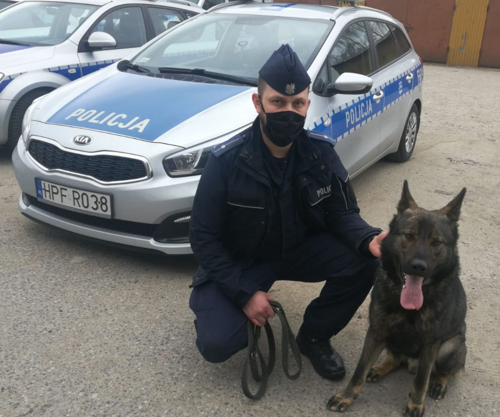 Policjant na czterech łapach