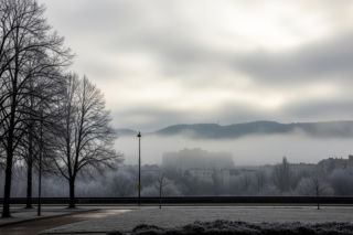 Płock zaskoczony zimnem! Czy przymrozki utrzymają się do weekendu?