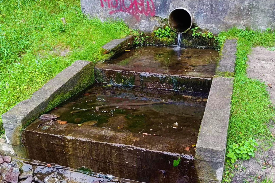 Wyschnięty Staw Wędkarski w Szczecinie