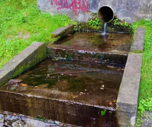 Wyschnięty Staw Wędkarski w Szczecinie