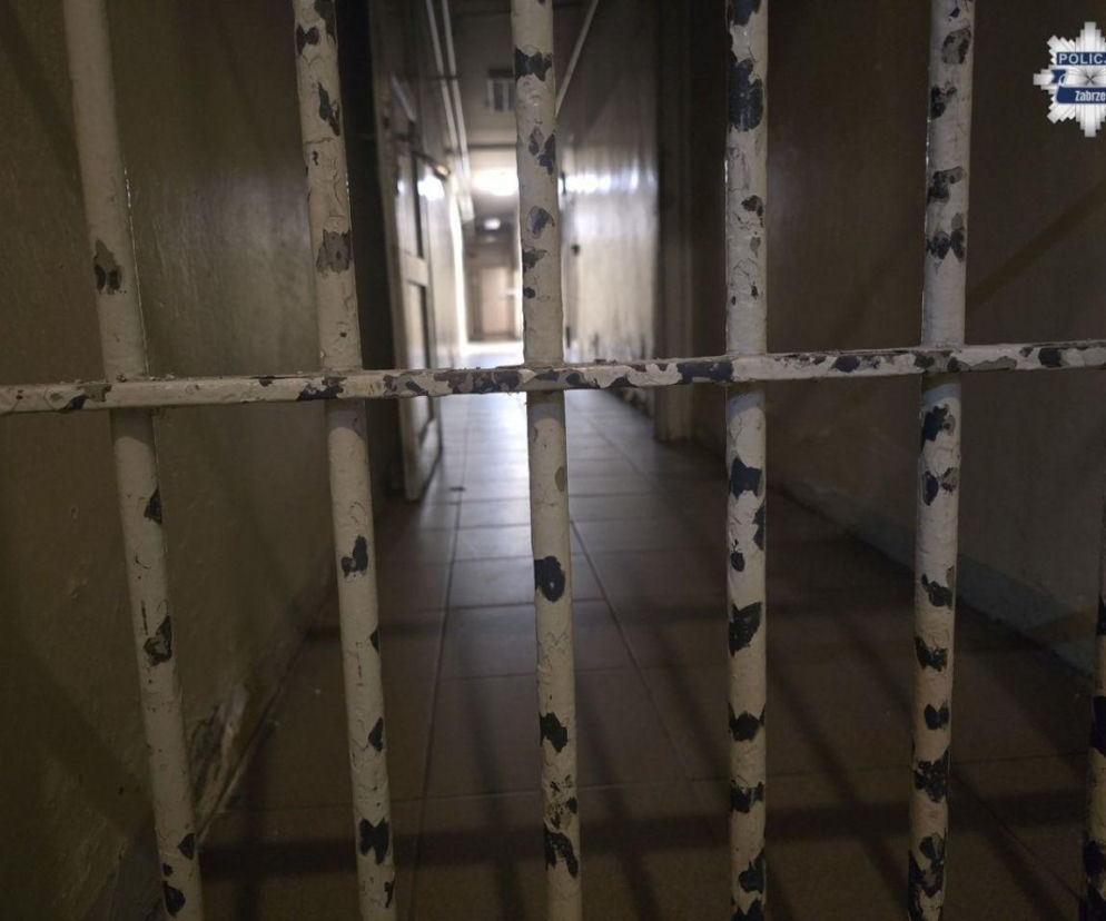 18-latek z Zabrza zgotował piekło własnym rodzicom i siostrom