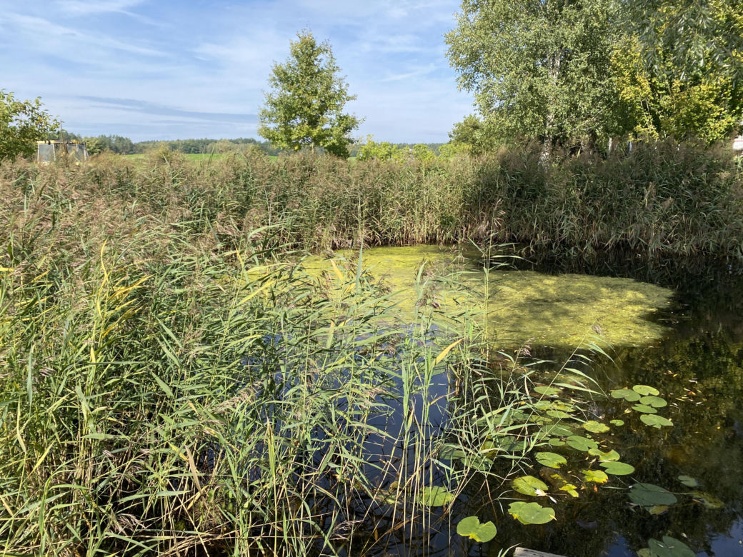 Bitwa o Polanę Ukciańską nad Krutynią