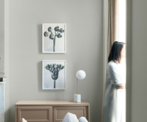 Kolory roku 2019 według firmy Benjamin Moore