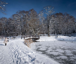 Park w Skawinie zachwyca zimą