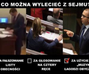 Mem o kryzysie w Sejmie