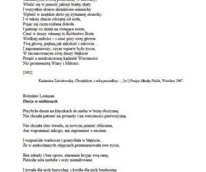 Matura 2019 - język polski. Arkusze CKE - poziom rozszerzony 