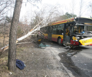 Autobus skosił drzewo