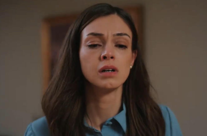 Złoty chłopak odc. 267