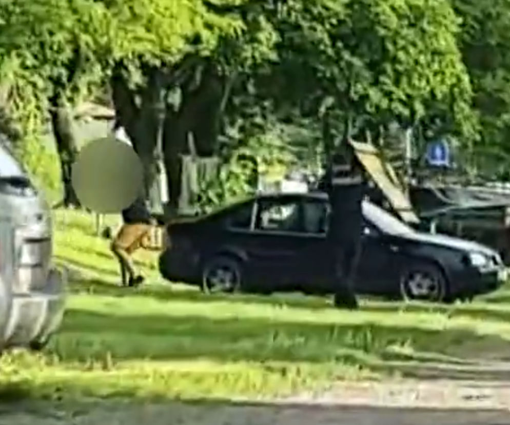Biegał z siekierą w pobliżu zalewu [WIDEO]