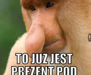 nawyki typowych ojców