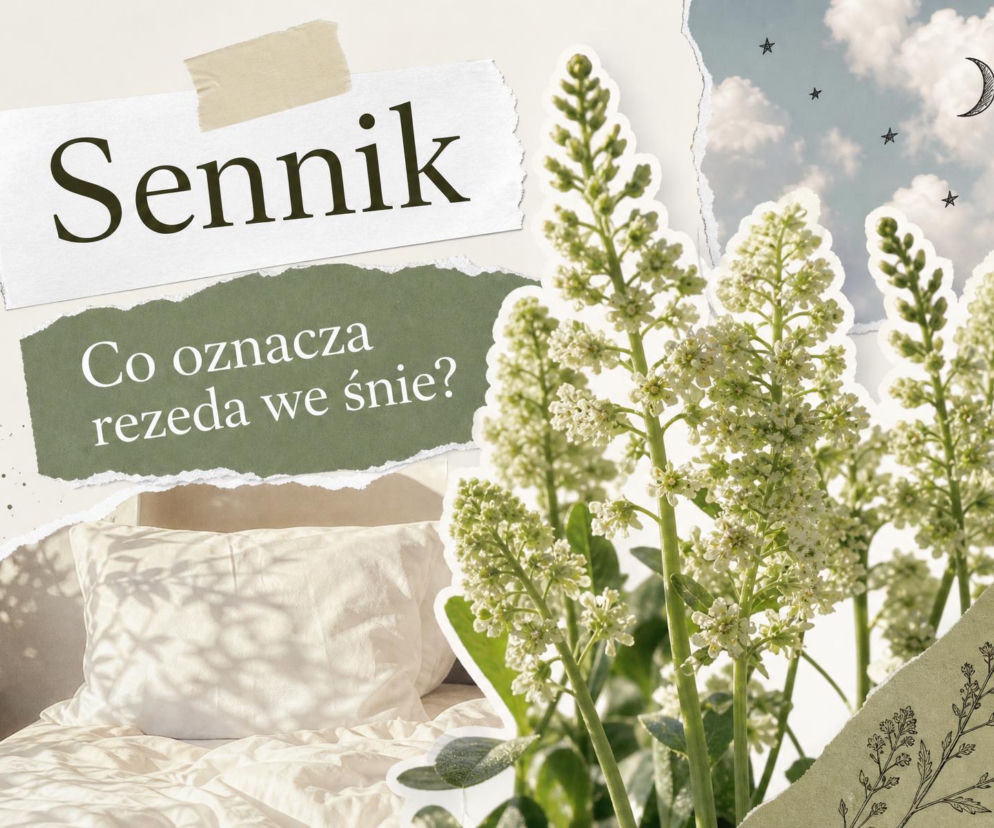 Kwitnąca rezeda obok łóżka z białą pościelą. O znaczeniu snu o tych kwiatach przeczytasz na SE.