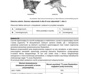 Matura 2021: Biologia. Arkusze CKE z biologii znajdziesz tutaj [Matura 12.05.2021]
