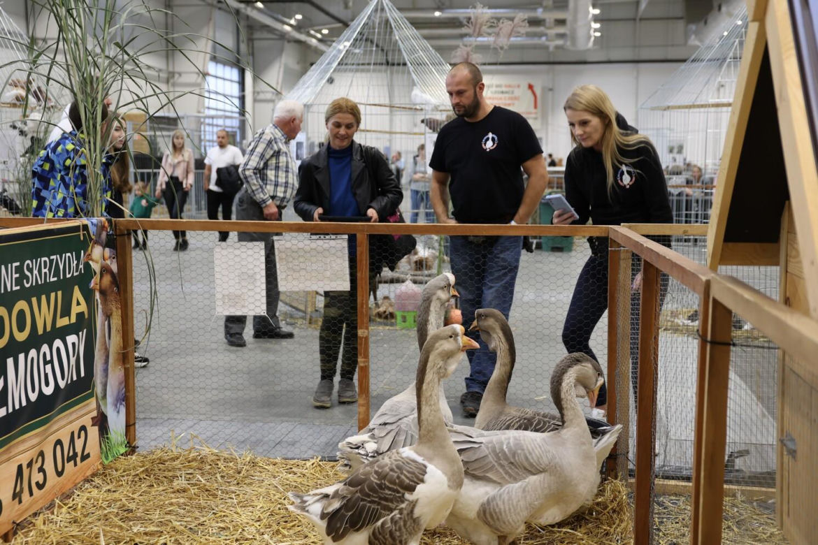 Zoopark 2023 w Lublinie