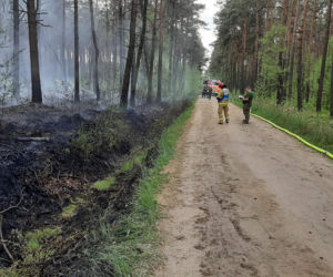 Podpalacz grasuje pod Pleszewem?! Ktoś chyba świetnie się bawi