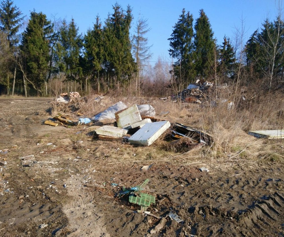 W Poznaniu jest coraz więcej dzikich wysypisk śmieci