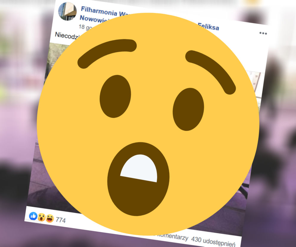 Dziki odwiedziły filharmonię w Olsztynie. Zdjęcie hitem internetu!