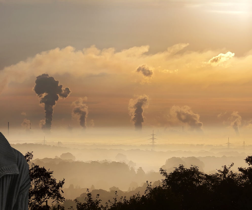 Uczniowie z Katowic walczą ze smogiem