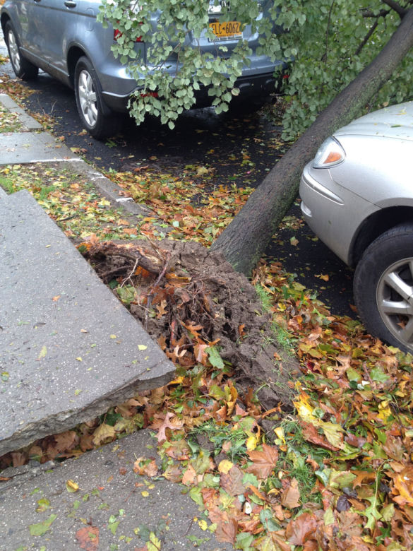 Huragan Sandy
