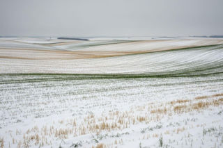 Obfite opady śniegu zbawieniem rolników? Są prognozy
