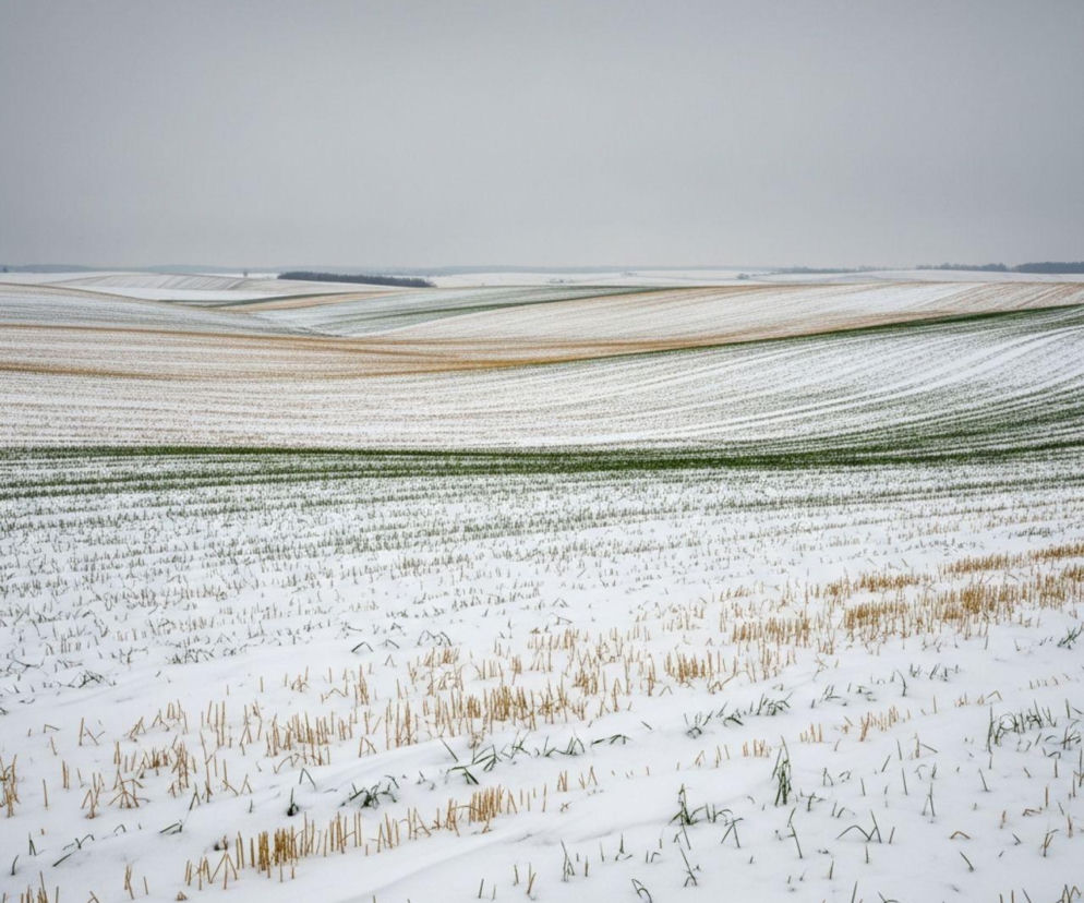 Obfite opady śniegu zbawieniem rolników? Są prognozy